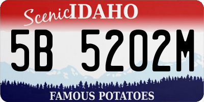 ID license plate 5B5202M