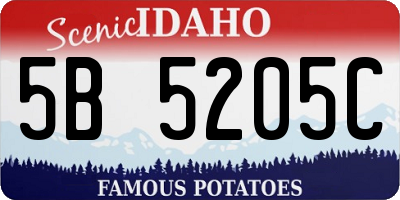 ID license plate 5B5205C