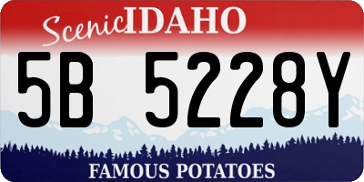 ID license plate 5B5228Y