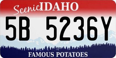 ID license plate 5B5236Y