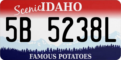 ID license plate 5B5238L
