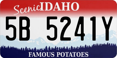 ID license plate 5B5241Y