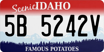 ID license plate 5B5242V