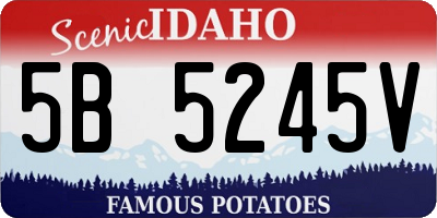 ID license plate 5B5245V