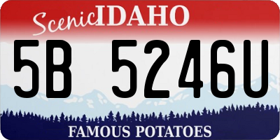ID license plate 5B5246U
