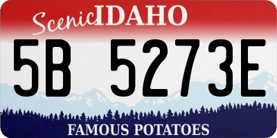 ID license plate 5B5273E