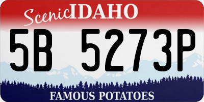 ID license plate 5B5273P