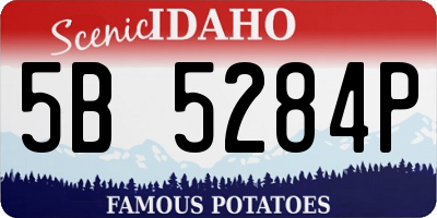 ID license plate 5B5284P