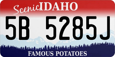 ID license plate 5B5285J