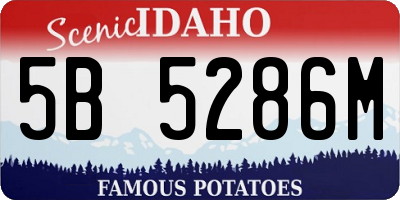 ID license plate 5B5286M