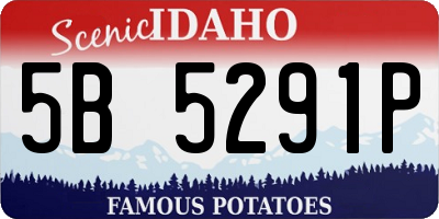 ID license plate 5B5291P