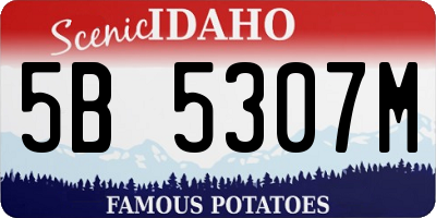 ID license plate 5B5307M