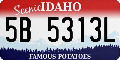 ID license plate 5B5313L