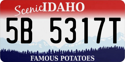 ID license plate 5B5317T