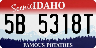 ID license plate 5B5318T