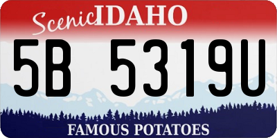 ID license plate 5B5319U