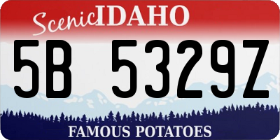 ID license plate 5B5329Z