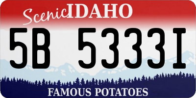 ID license plate 5B5333I
