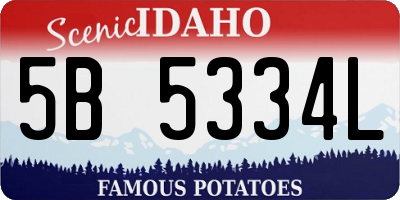 ID license plate 5B5334L