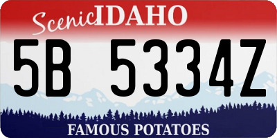 ID license plate 5B5334Z