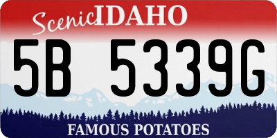 ID license plate 5B5339G