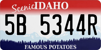 ID license plate 5B5344R
