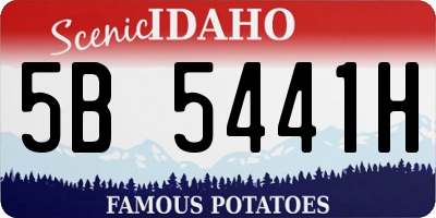 ID license plate 5B5441H