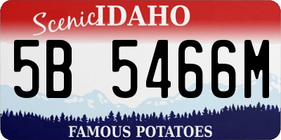 ID license plate 5B5466M