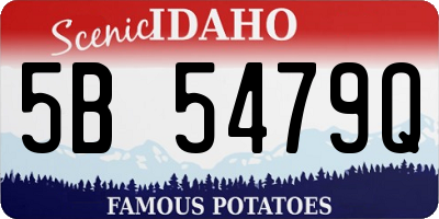 ID license plate 5B5479Q
