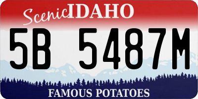 ID license plate 5B5487M