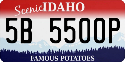 ID license plate 5B5500P