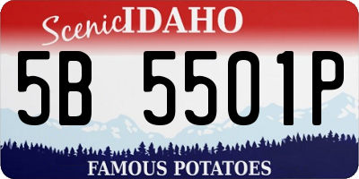 ID license plate 5B5501P
