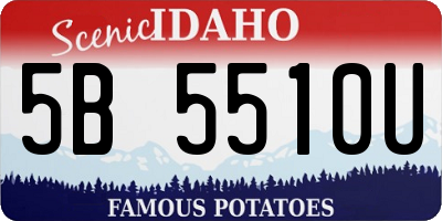 ID license plate 5B5510U