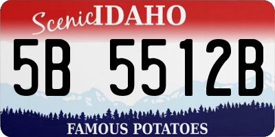 ID license plate 5B5512B