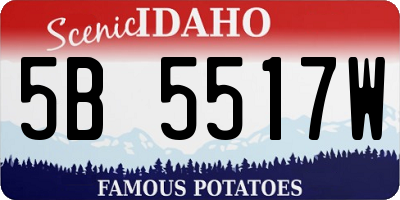 ID license plate 5B5517W