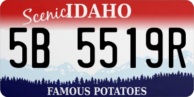 ID license plate 5B5519R