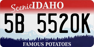 ID license plate 5B5520K