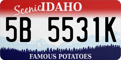 ID license plate 5B5531K