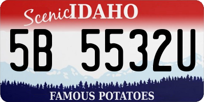 ID license plate 5B5532U
