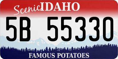 ID license plate 5B5533O