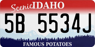 ID license plate 5B5534J