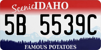 ID license plate 5B5539C