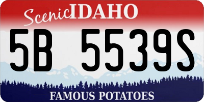 ID license plate 5B5539S