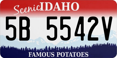 ID license plate 5B5542V