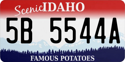 ID license plate 5B5544A
