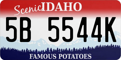 ID license plate 5B5544K