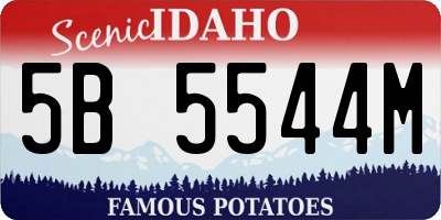 ID license plate 5B5544M