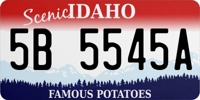 ID license plate 5B5545A