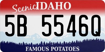 ID license plate 5B5546Q