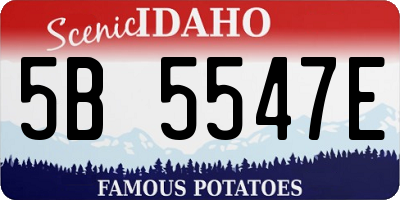 ID license plate 5B5547E